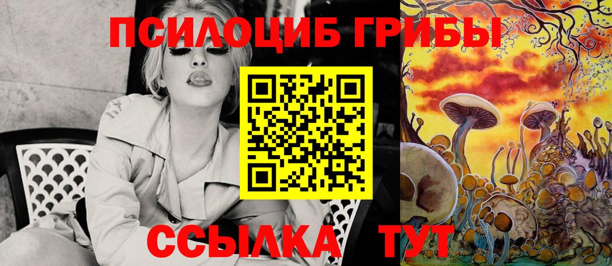 продажа наркотиков  Псилоцибиновые грибы прущие грибы  Вход с VPN  Когалым 